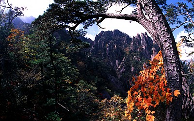 설악산