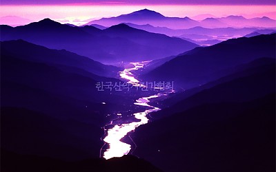     왕의  강