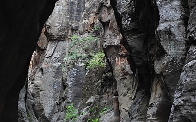Zion Narrows