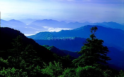 제석봉의여름