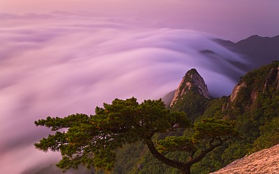 용암봉과운해