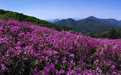 일림산