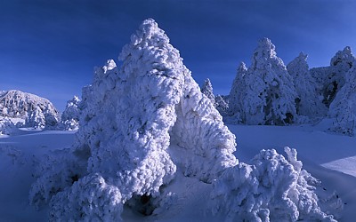 한라산.