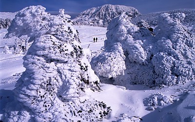 한라산.
