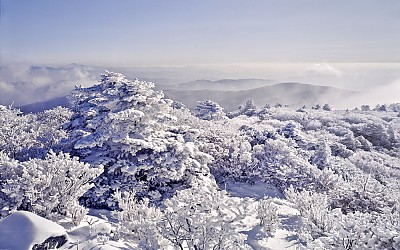 덕유산에서