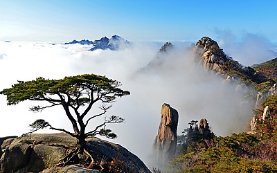 또 다시오른 한라산,