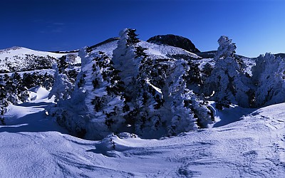 한라산.
