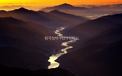 왕의강
