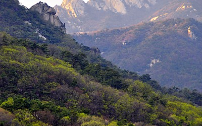 덕유산의 11월