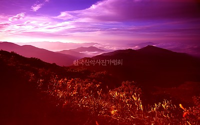 실패한 사진..