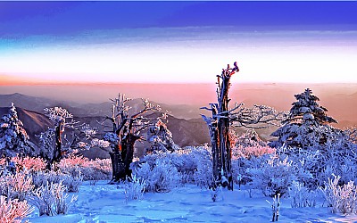 태백산설경