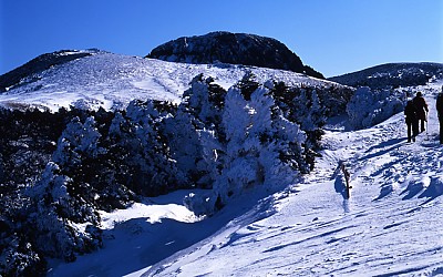 한라산.