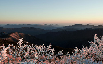 덕유산 중봉에서