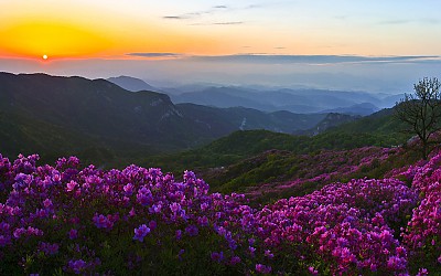 황매산