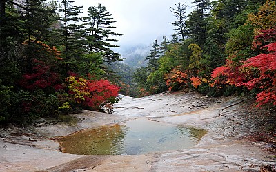 설악산 어느계곡