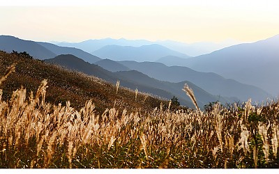 신불재에서