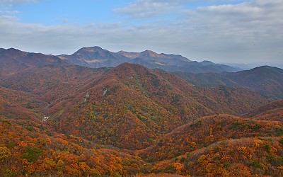 대운산 자락