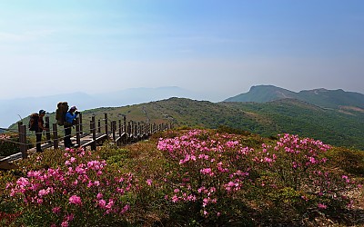 신불평원의 봄