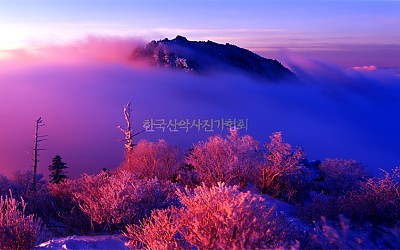 오래된 사진.