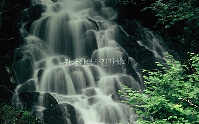 깜짝폭포