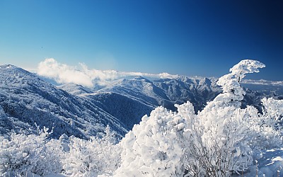 덕유의 설경