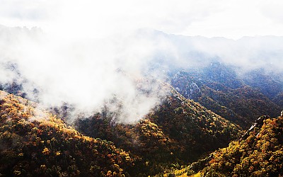 가야동에 가을이..