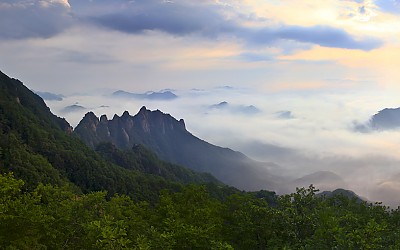 구봉산 여름