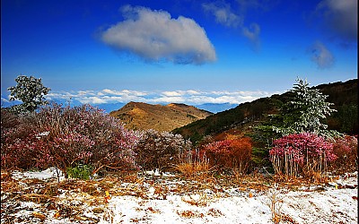 춘 사월에 잔설 내린 노고단