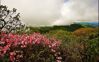 함백산