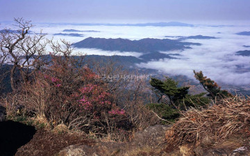 5월4일의 덕유산