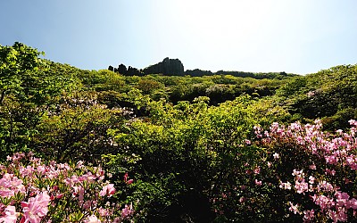무등산
