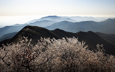 좋은아침