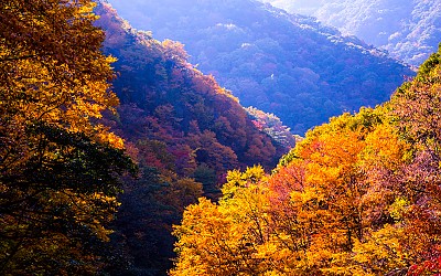 지리산계곡의 가을