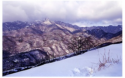 계룡산