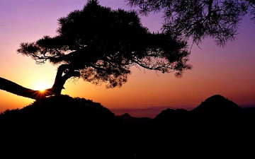 계룡산에 아침이...