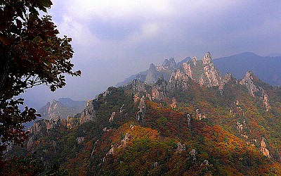 공룡에 빛이.