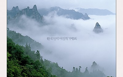 공룡운해
