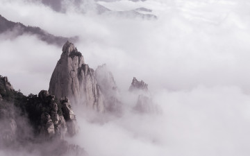 저 위풍 당당한 범봉