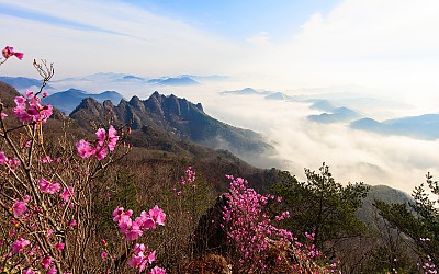 구봉산.