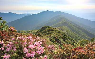 소백산 풍경2