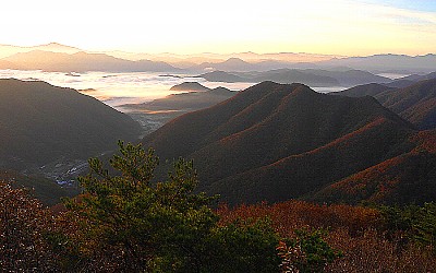 여명.