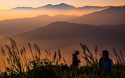 시방 뭣이 중헌디 ...