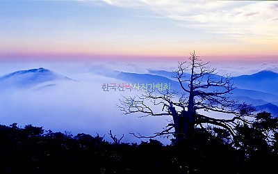 함백산 2
