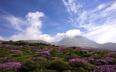 한라산과구름