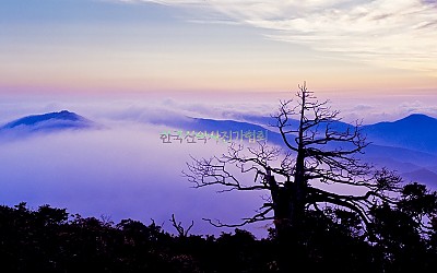 함백산운해