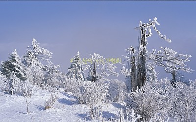 태백산