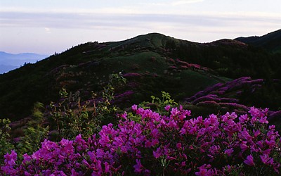 바래봉