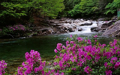 지리산