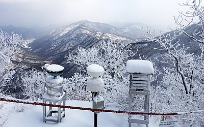 계룡산