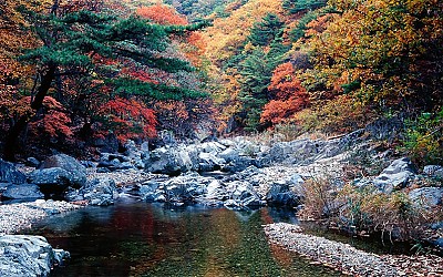 내연산계곡